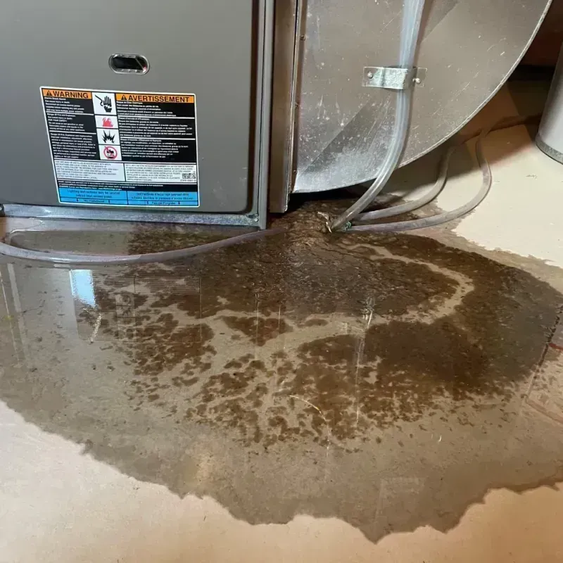 Appliance Leak Cleanup in Hinsdale, IL